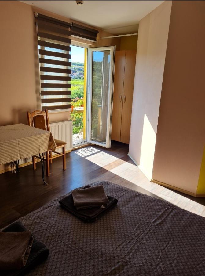 Vila Belilo 스렘스키카를로브치 외부 사진